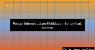 ilustrasi fungsi internet dalam kehidupan sehari hari