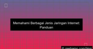 ilustrasi jenis jenis jaringan internet