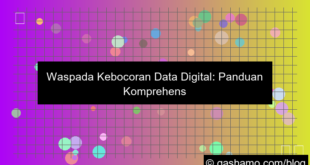 visual kebocoran data digital