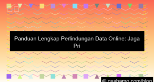 perlindungan data online