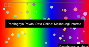 ilustrasi privasi data online